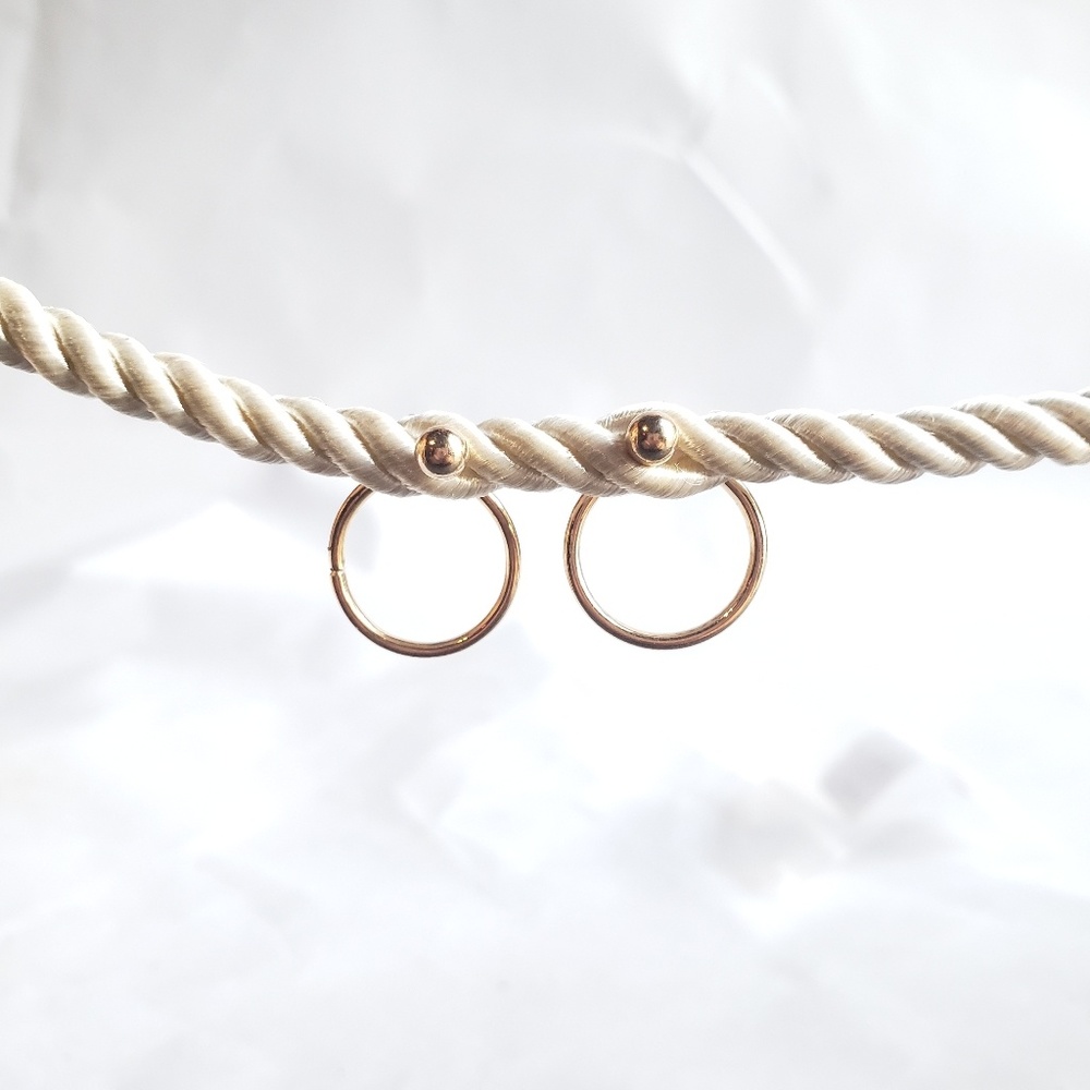 ✨HOST PICK ✨Ball and Hoop Earrings